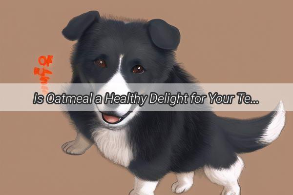 Is Oatmeal a Healthy Delight for Your Teddy Bear Dog Find Out Now